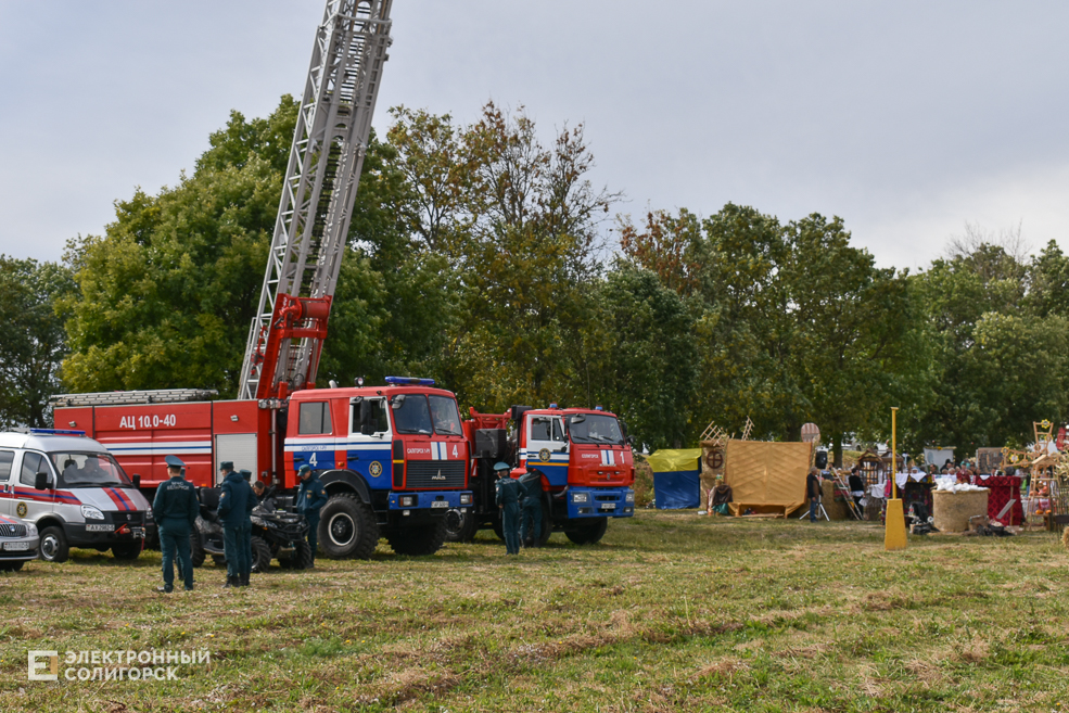 Dozhinki 39