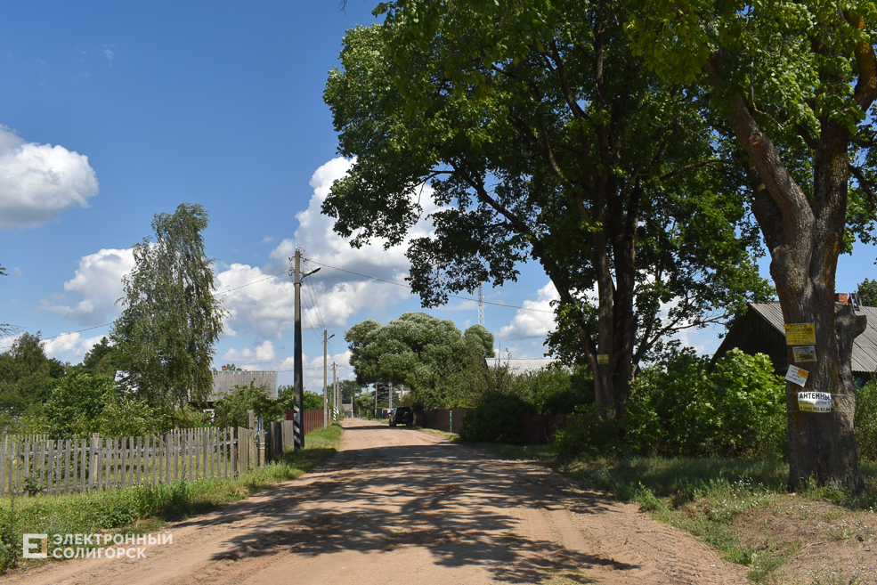 Letenec