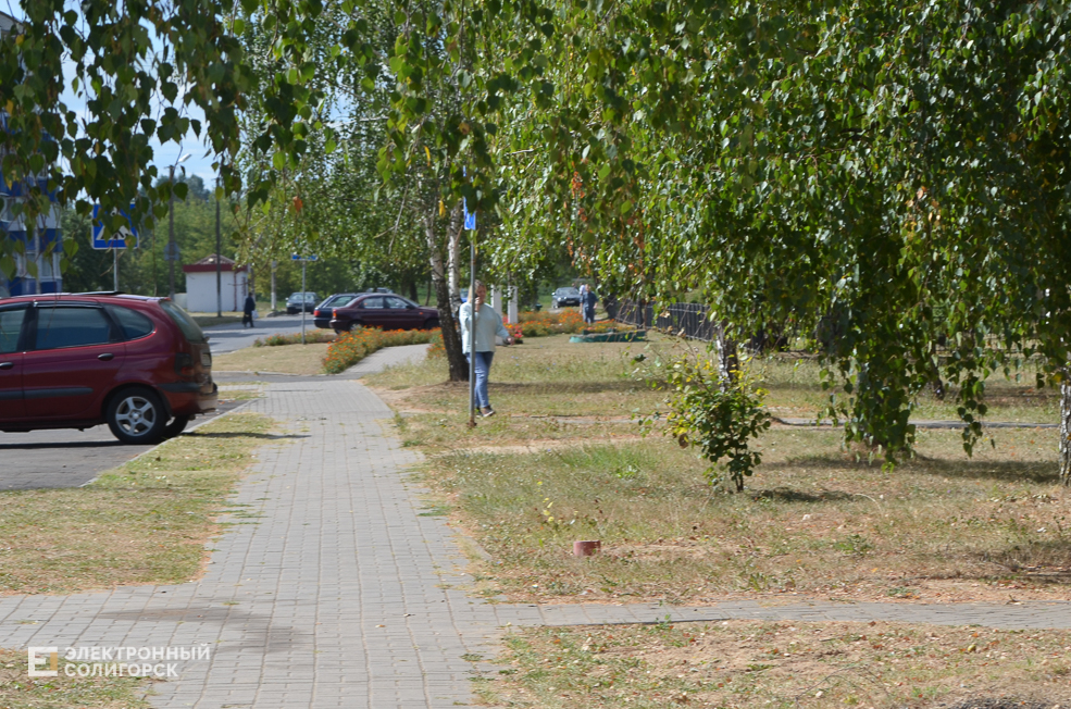 Starobin 42