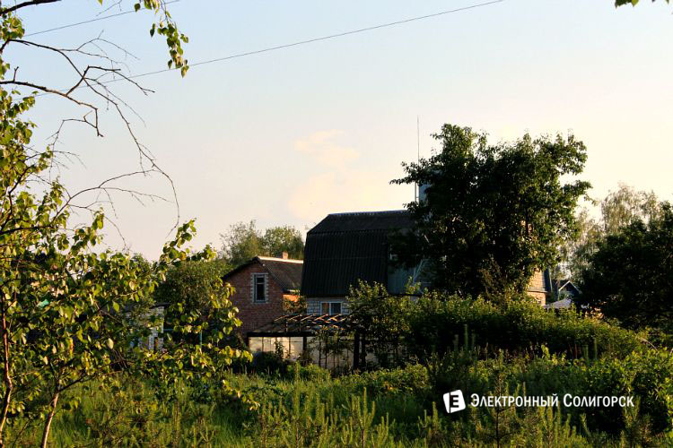 dacha 1