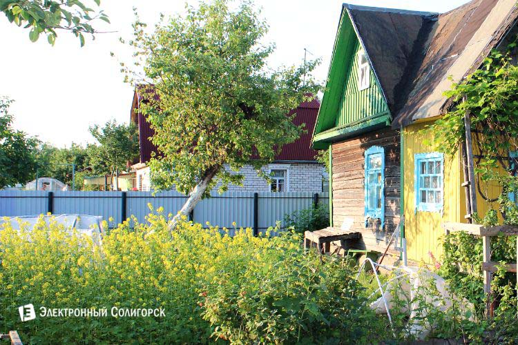 dacha 13