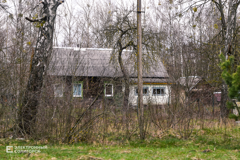 Povarchicy 45