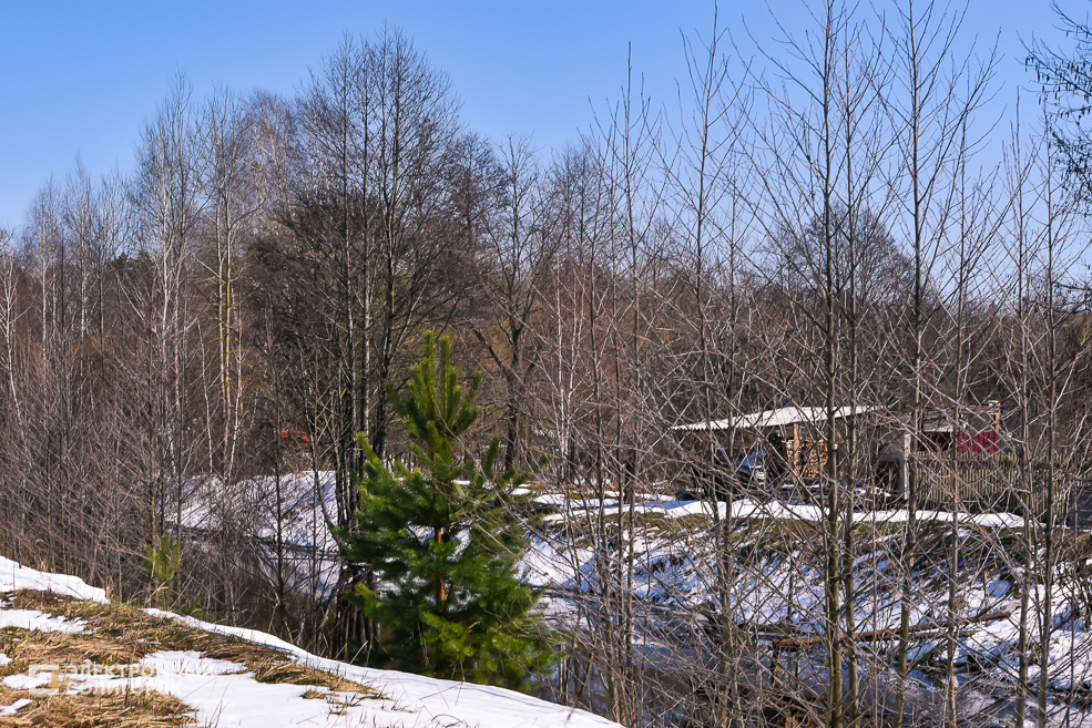 Progress 25