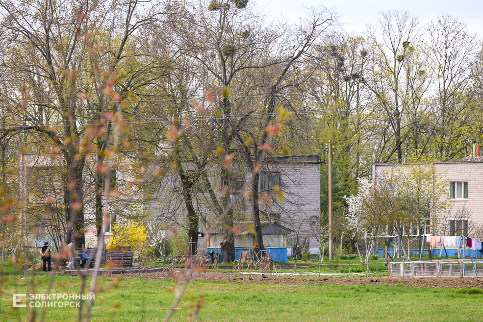 Tesovo 43