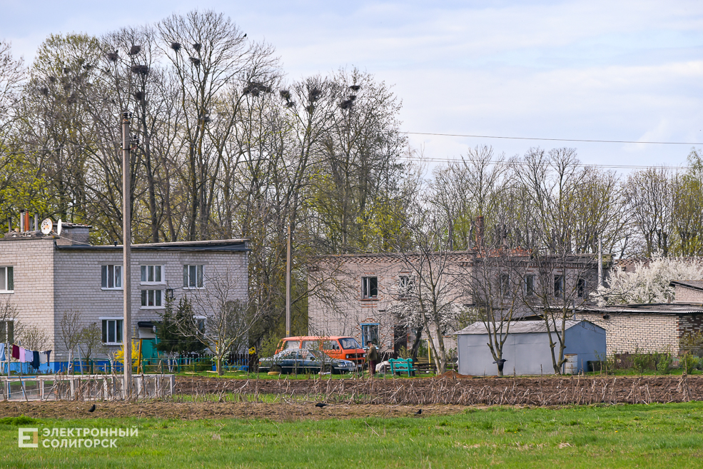 Tesovo 44