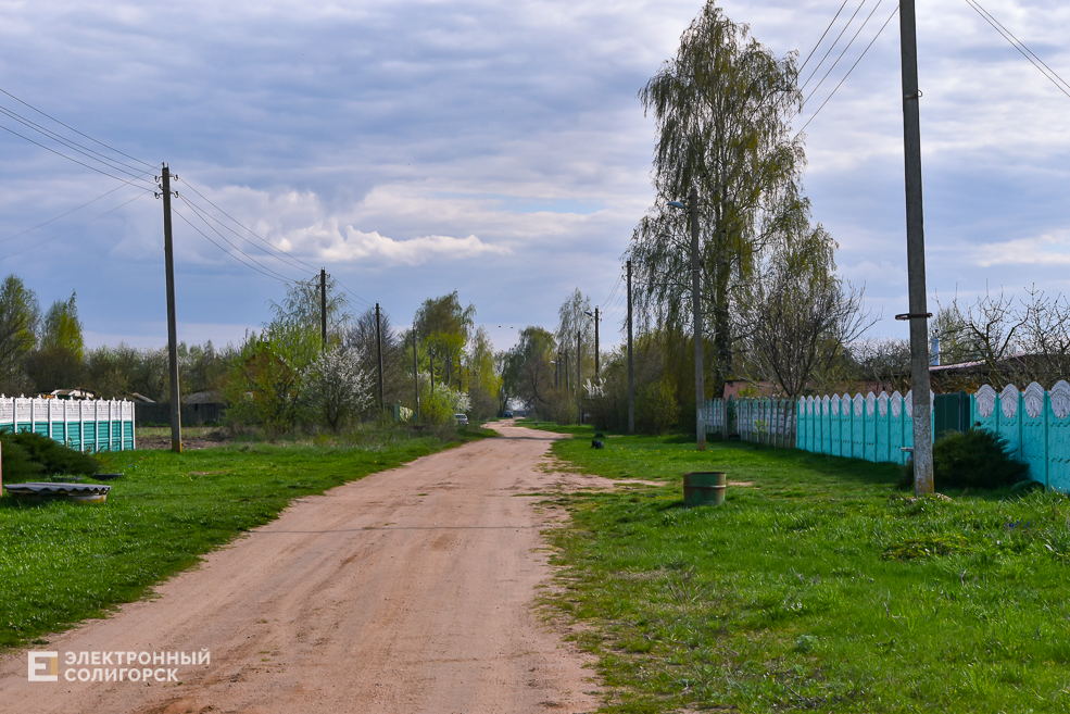 Tesovo 51