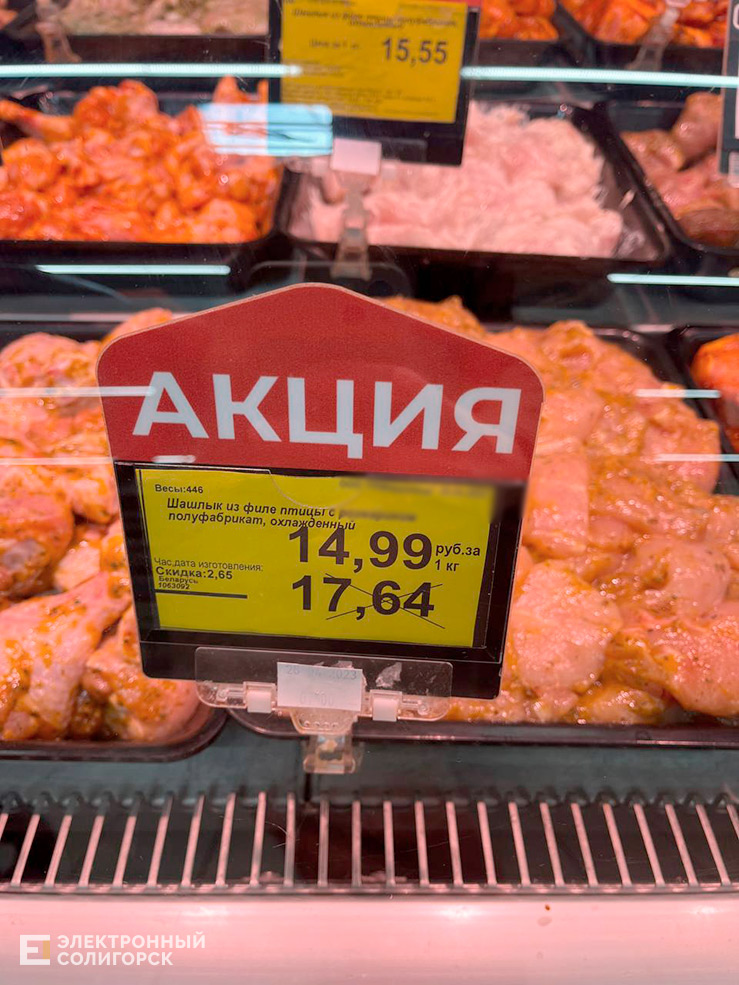 shaslik 6