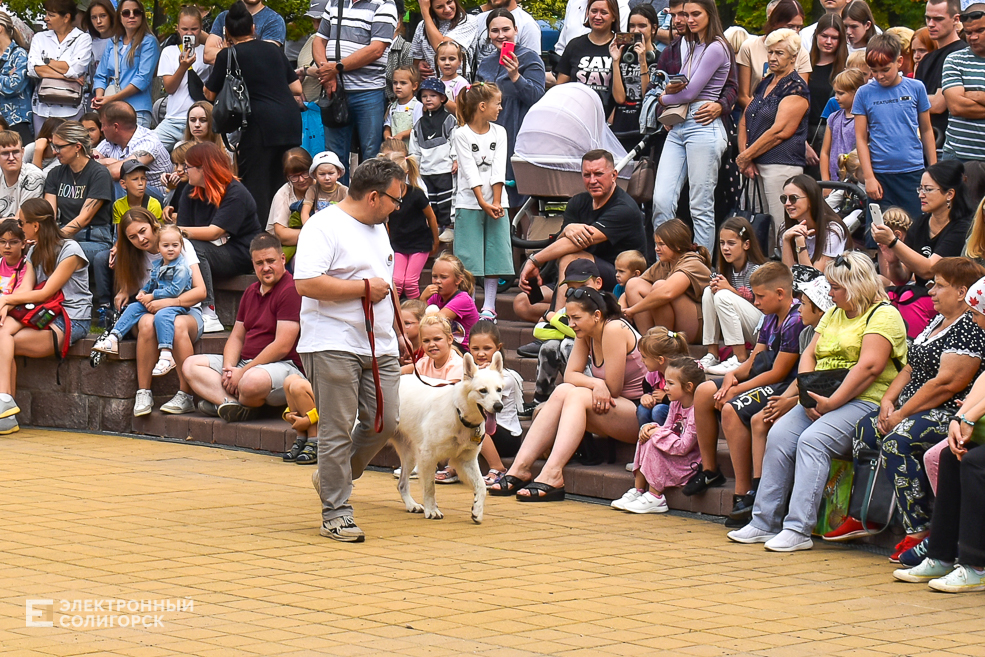 Dogshow 6