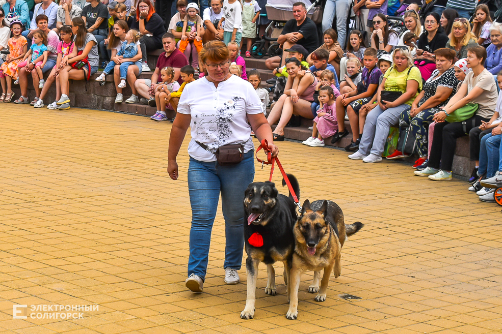 Dogshow 8