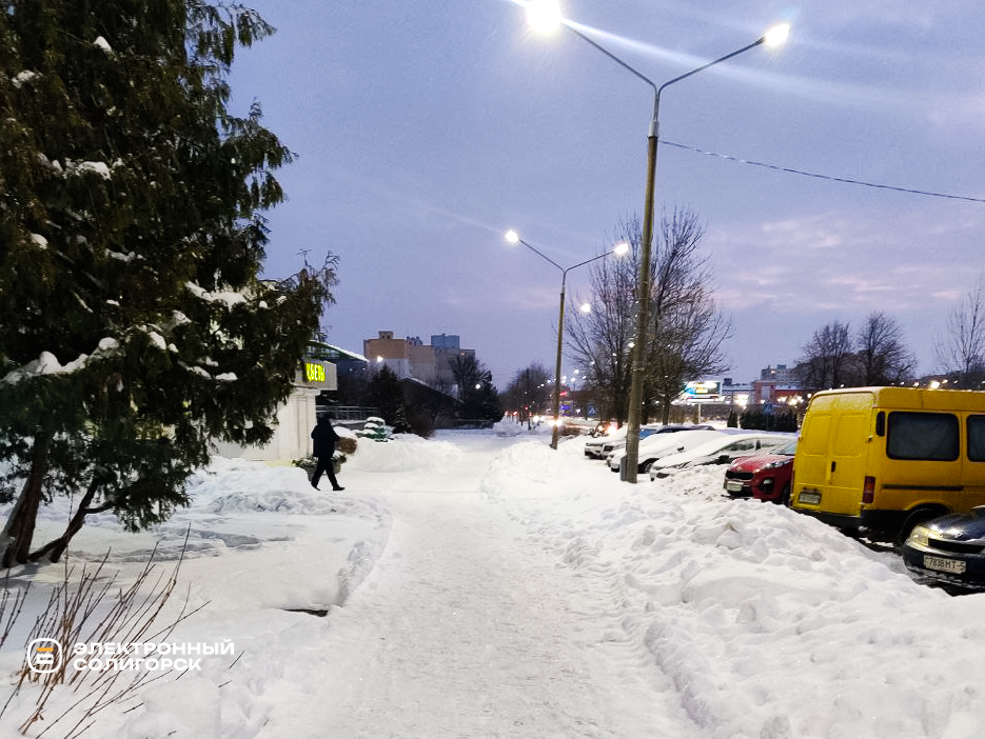 Uborka snow 13