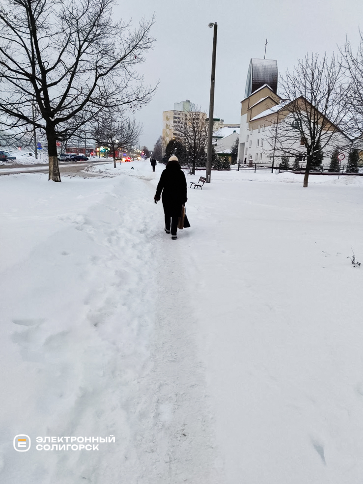 Uborka snow 3
