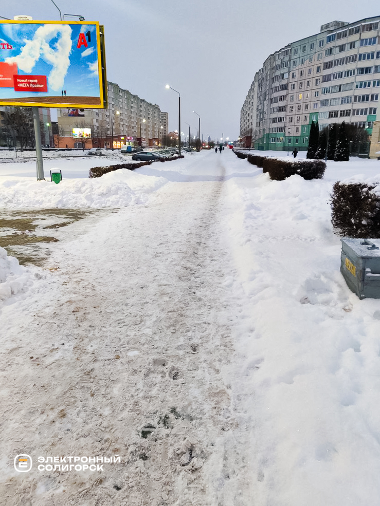 Uborka snow 4