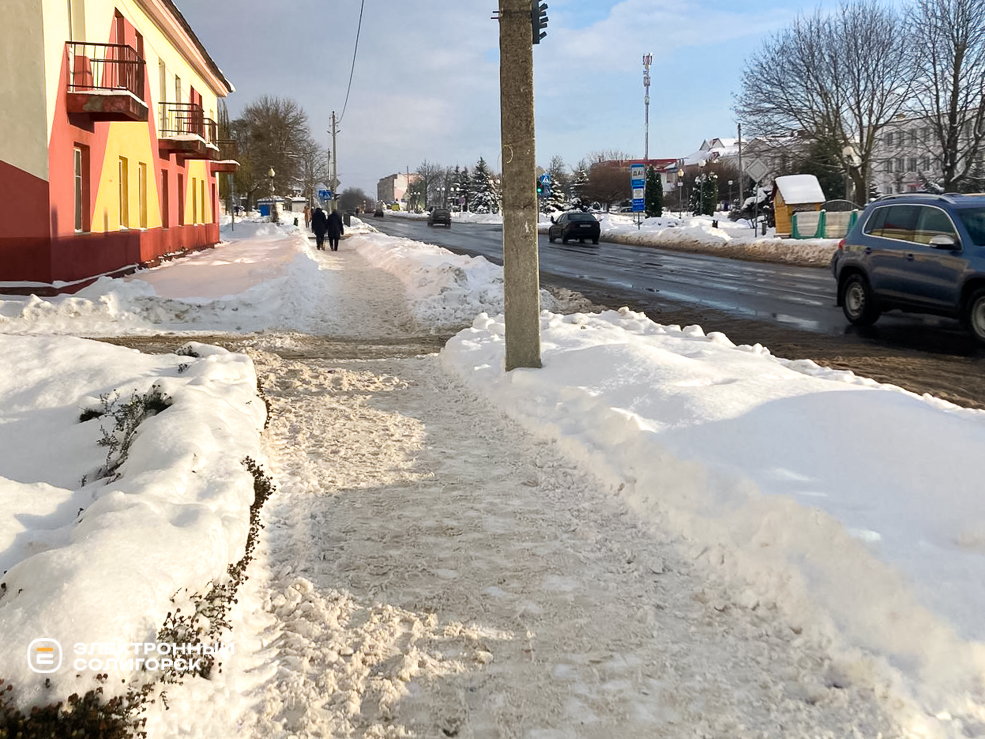 Uborka snow 6
