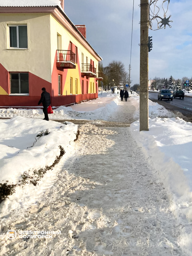Uborka snow 7