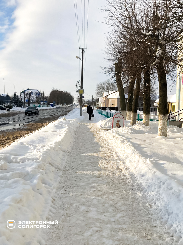 Uborka snow 8