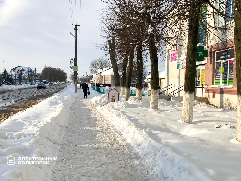 Uborka snow 9