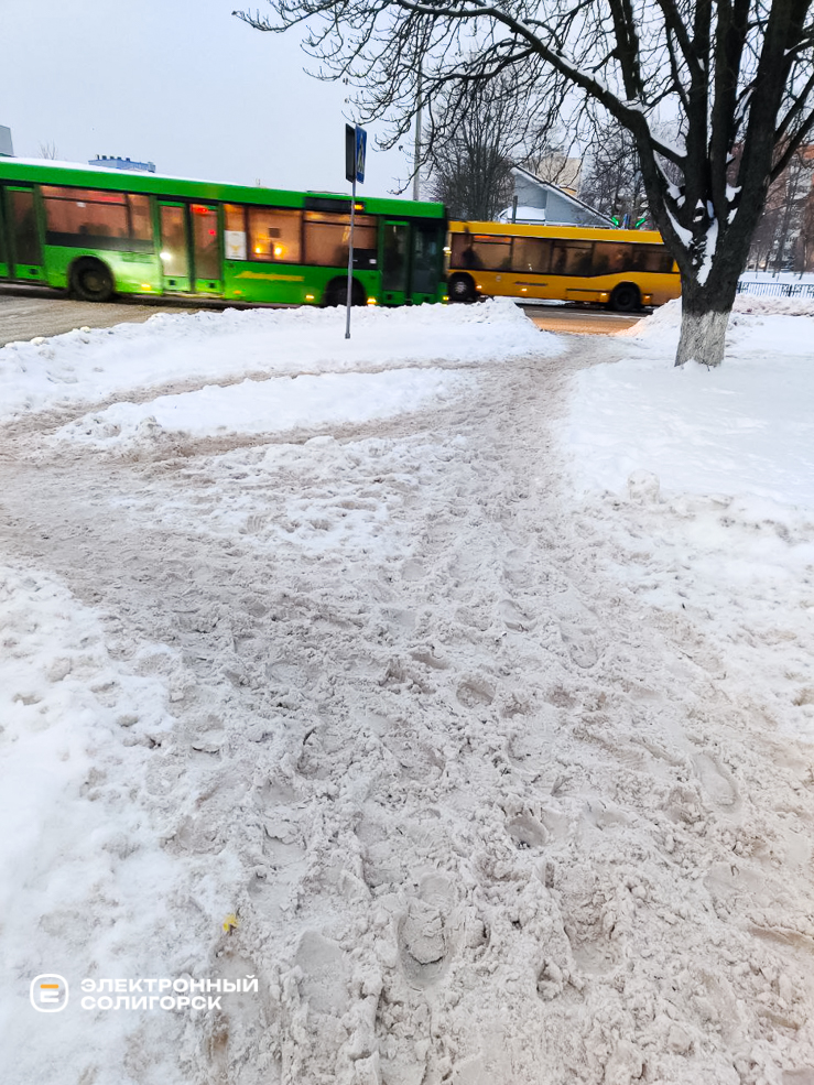 Uborka snow