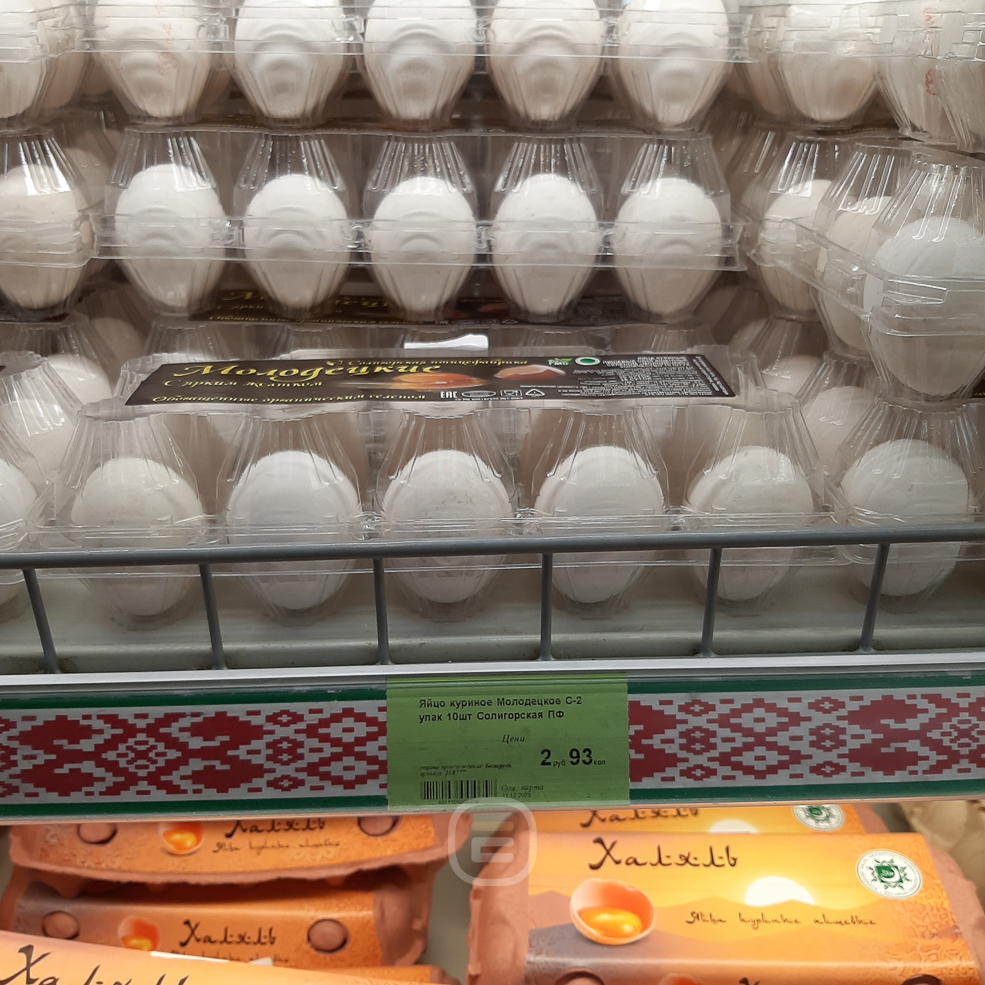 Egg 5