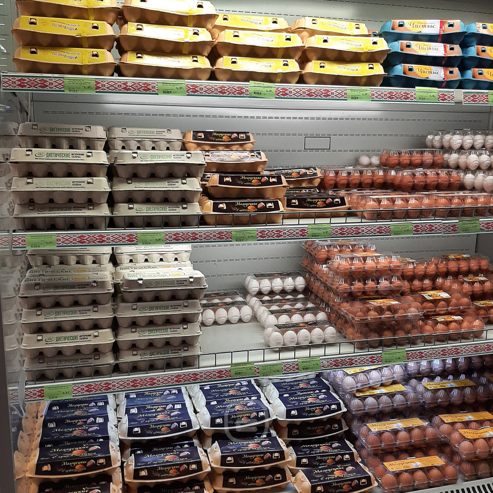 Egg