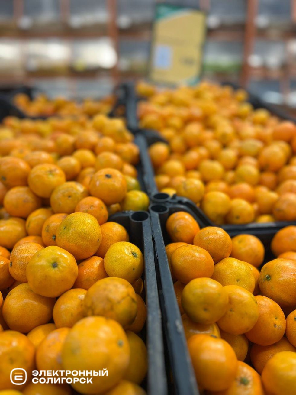 frukti 7