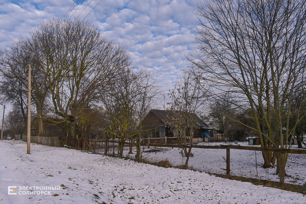 Bryancicy 69