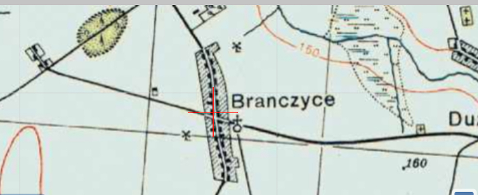History Branch 5