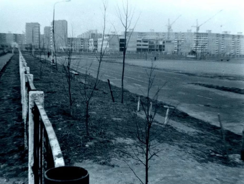 School 7 1