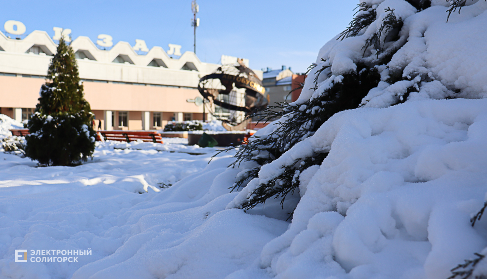 winter2 23