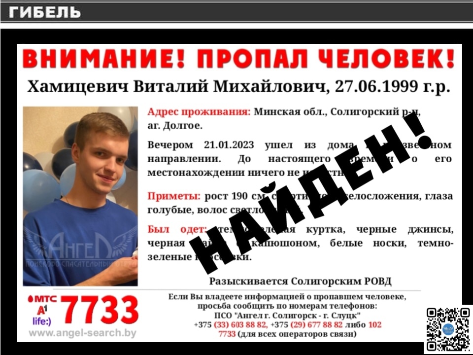 hamicevich 2