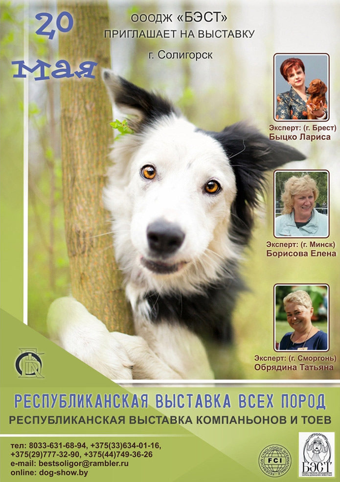 dog presents 1