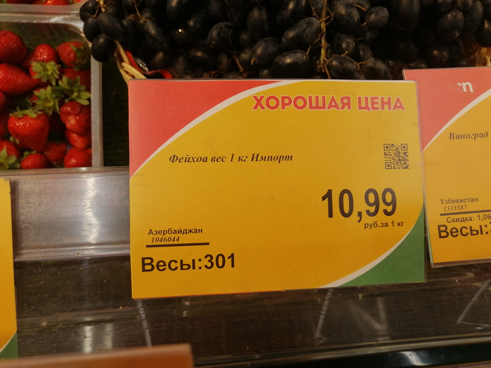 Fejhoa 12