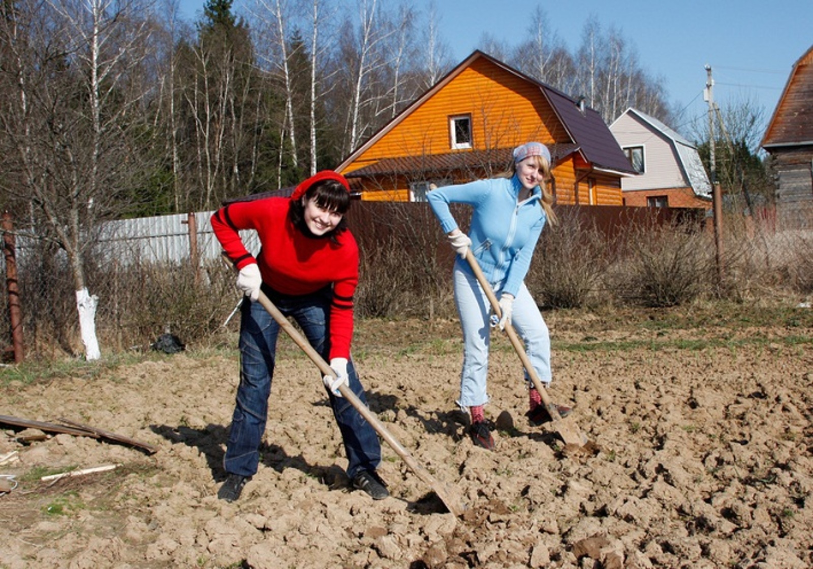 Dacha 12