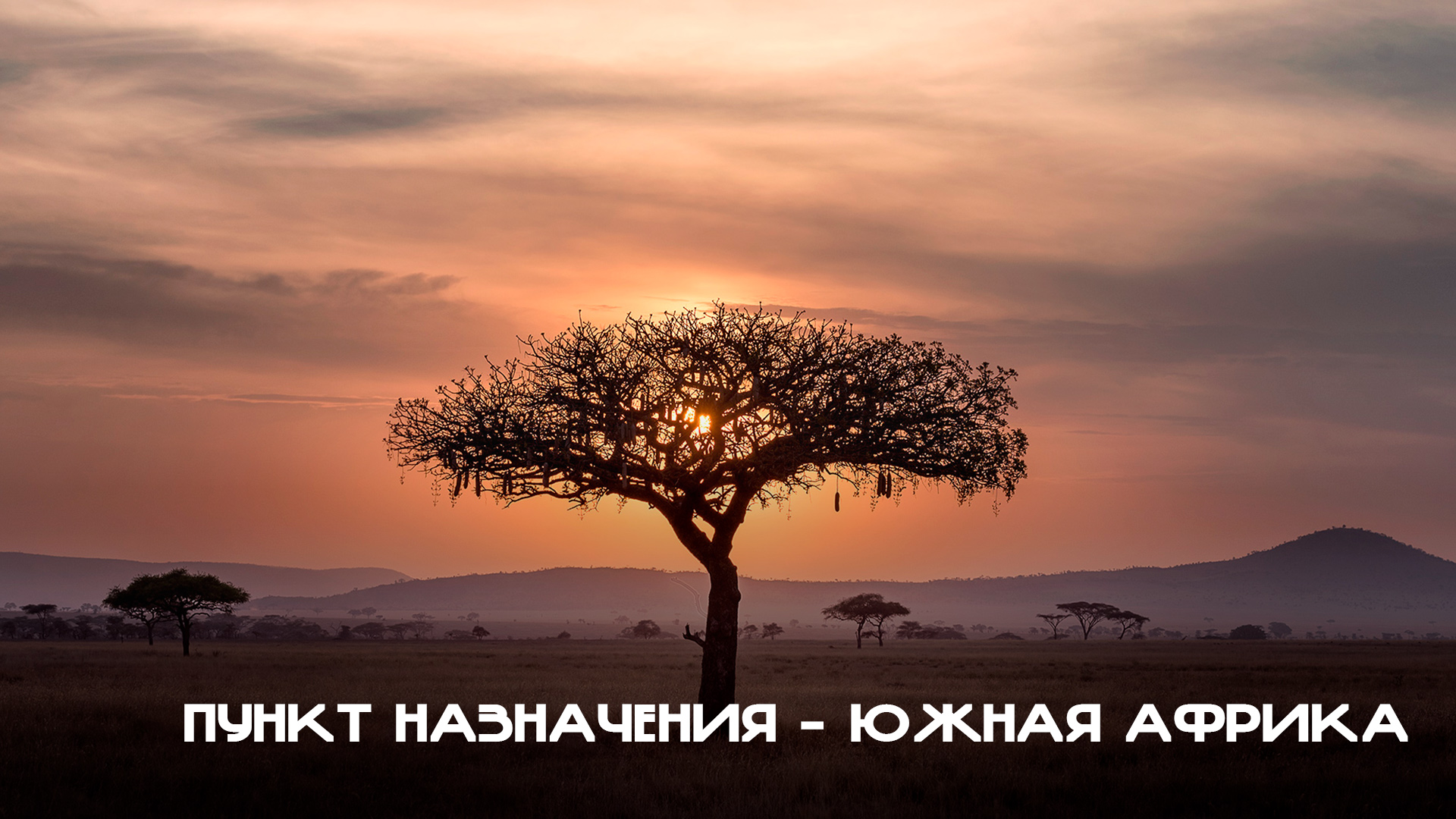 afrika