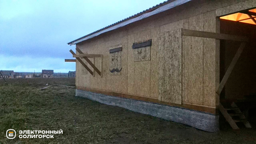 natali 11