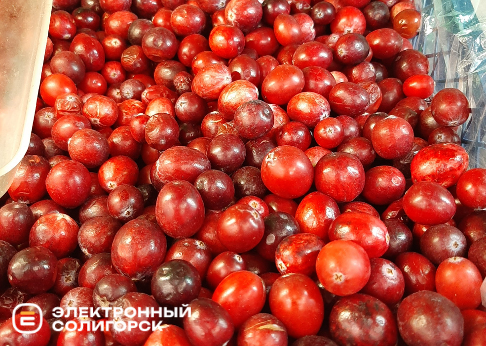 frukti 1