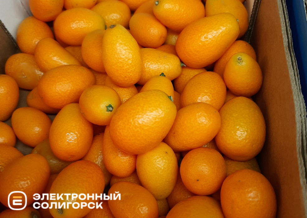 frukti 7