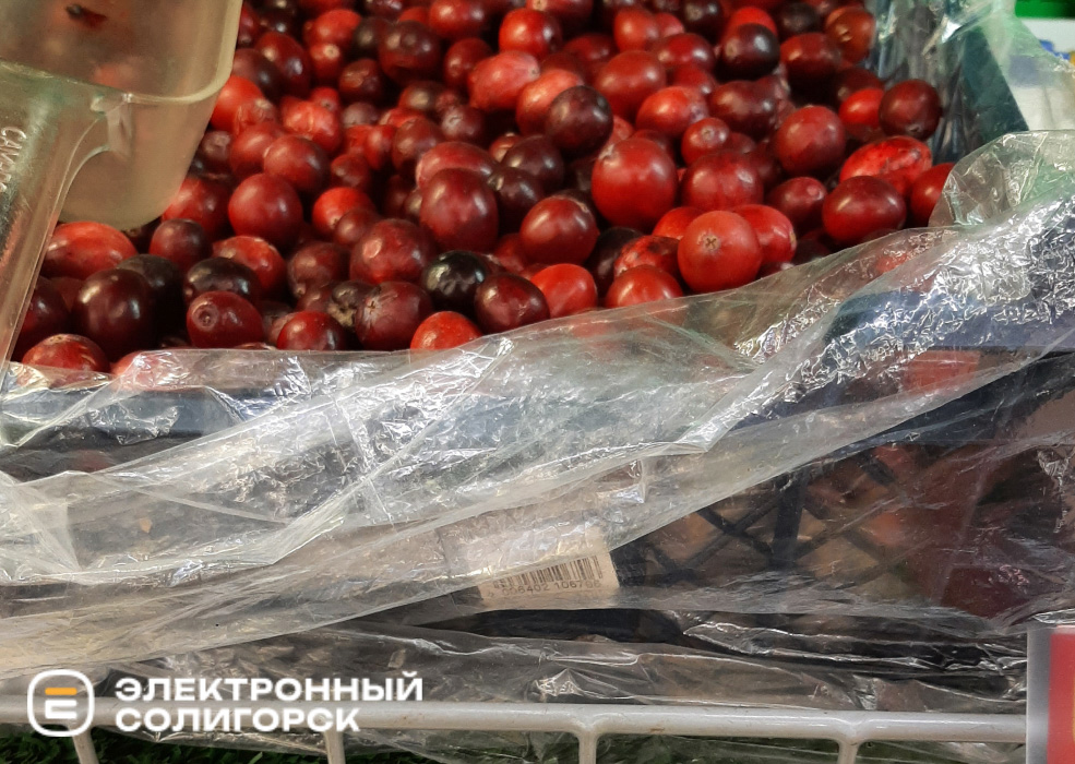 frukti 8