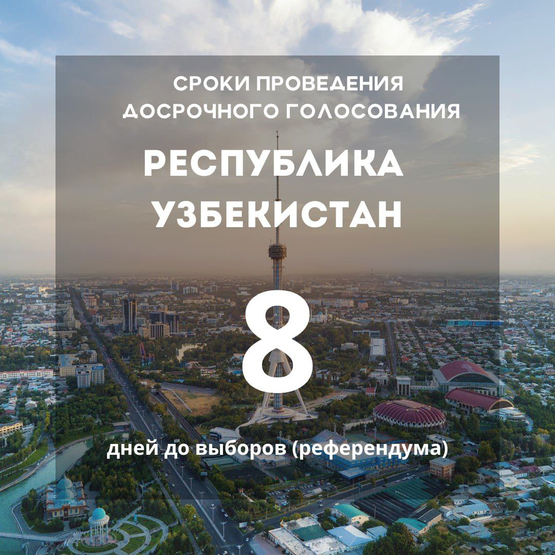 vibori 4