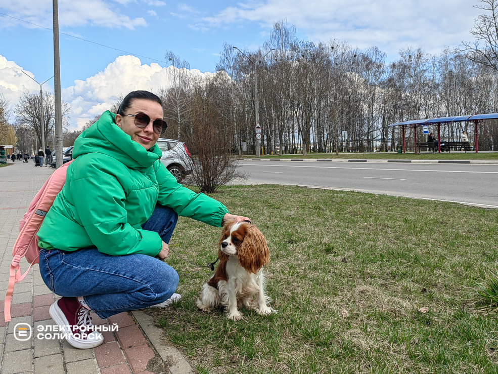 Dog otvet 7