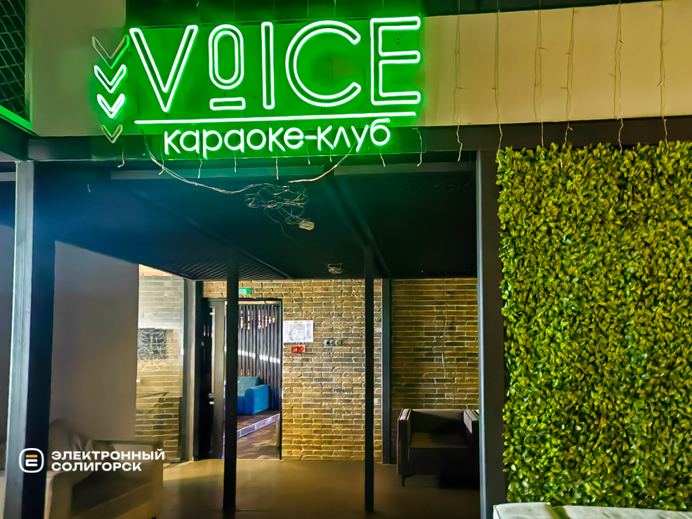 Voice 6