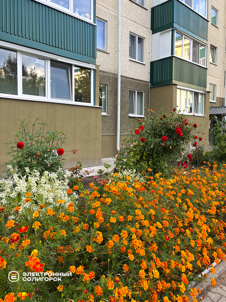 Dvor 1