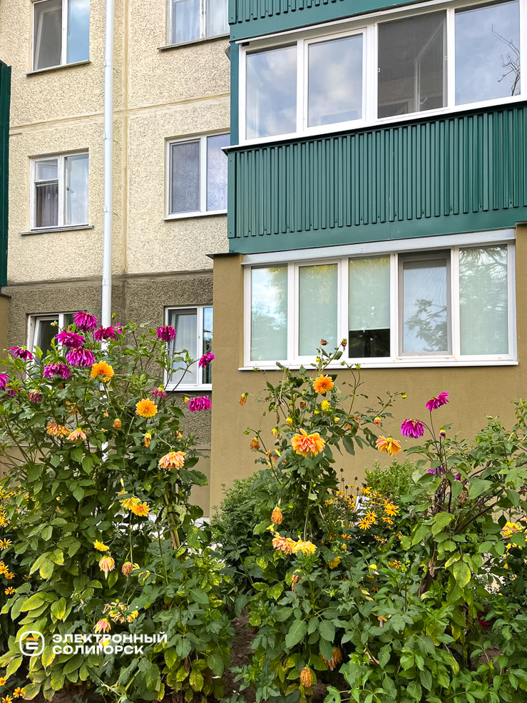 Dvor 28