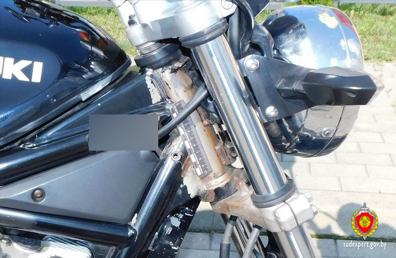 suzuki 2