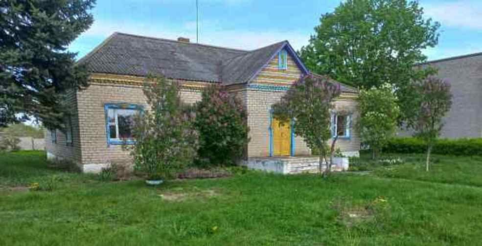 Malye Zavshitzy 1