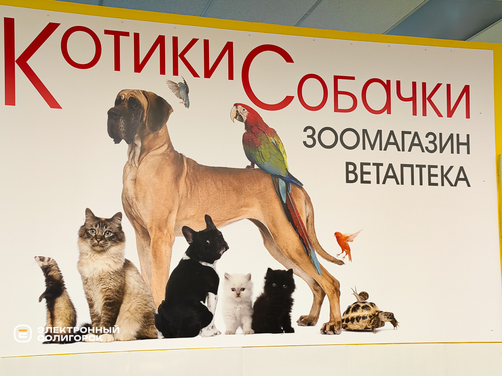 CatsDogs 1