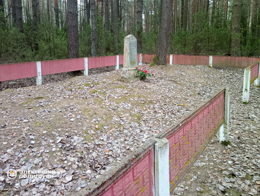 Koz gora 2