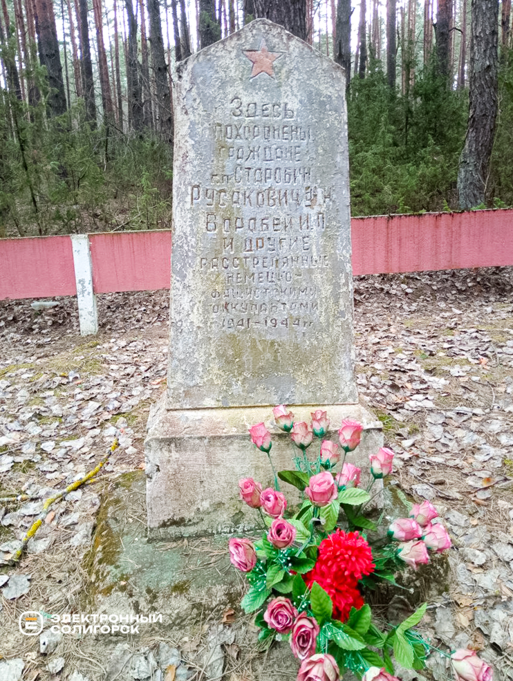 Koz gora 4