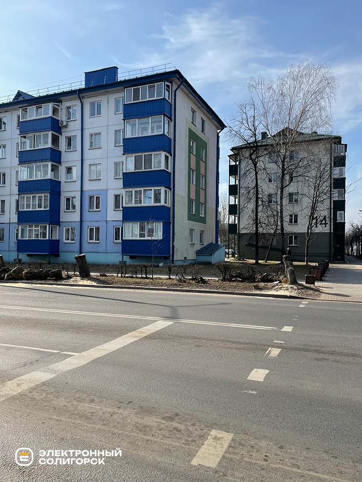 srubili 24 2