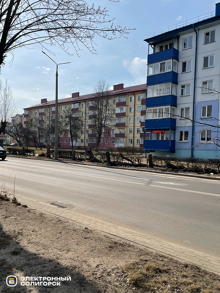 srubili 24 3