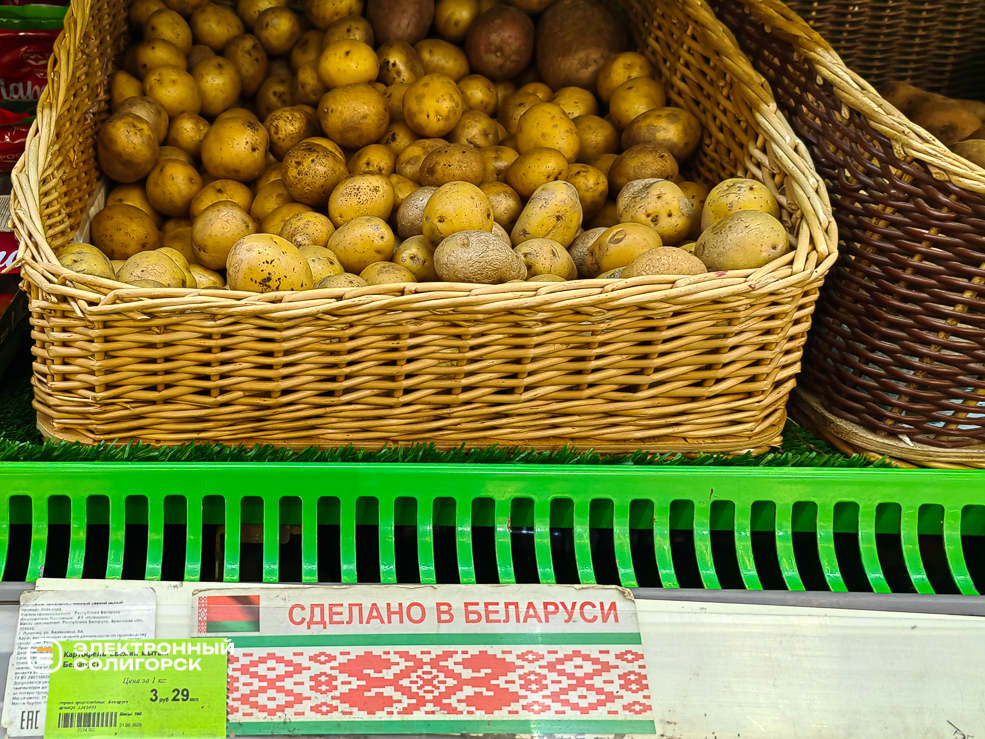 Potato 13